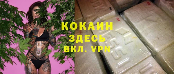 бошки Арсеньев