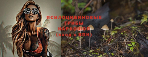 бошки Арсеньев