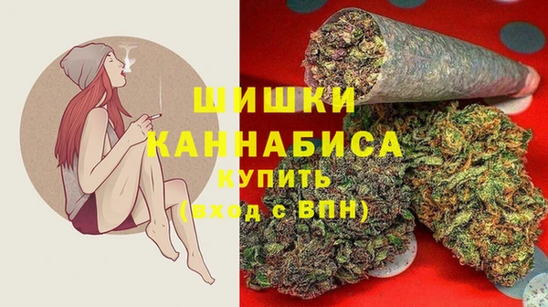 ПСИЛОЦИБИНОВЫЕ ГРИБЫ Аркадак